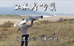 Video herunterladen: 海南大佬试飞FX79大水牛飞翼，回忆起被飞翼统治的年代，固定翼航拍穿越机追拍