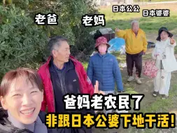 Download Video: 爸妈憋不住了，非跟日本公婆地里种土豆，中日亲家相处令人意外！