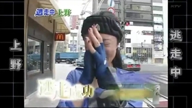 逃走中 どうぶつ島編確保集part2 哔哩哔哩 つロ干杯 Bilibili