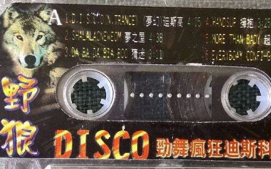 活动  野 狼 迪 斯 科