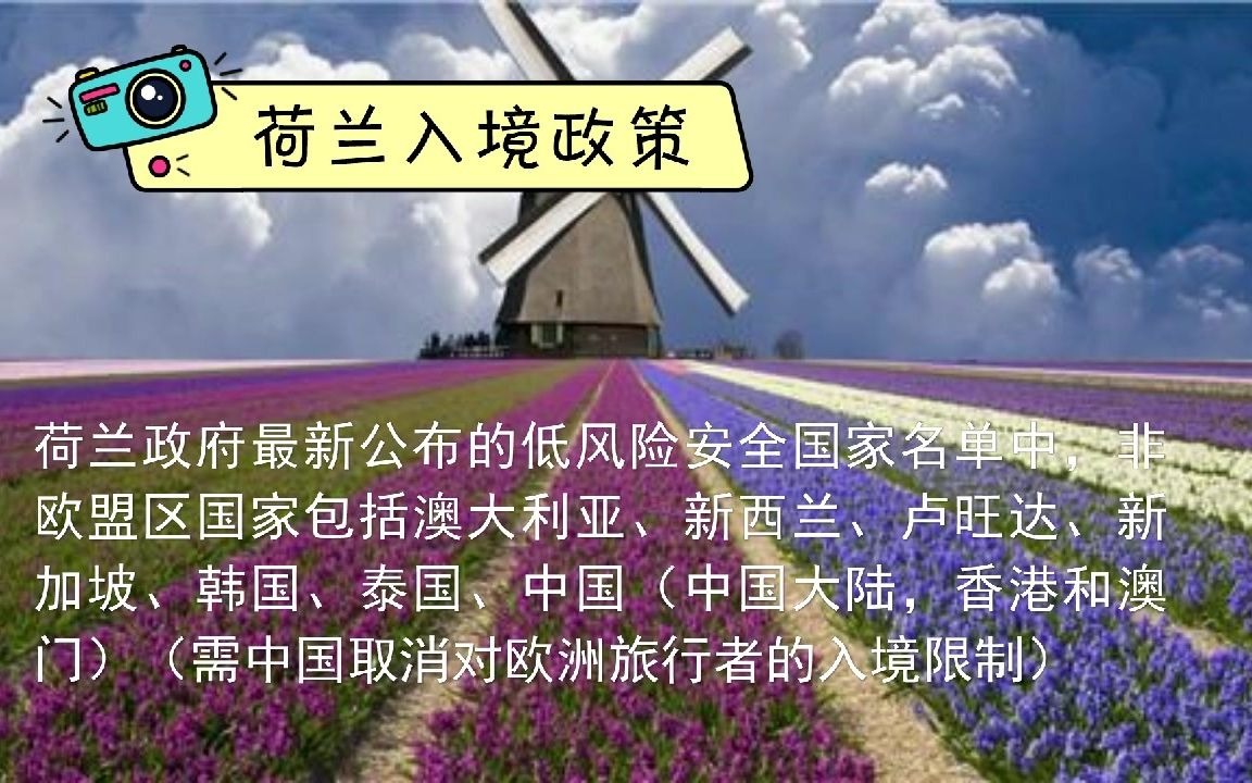 关于荷兰签证你不知道的那些事!哔哩哔哩bilibili