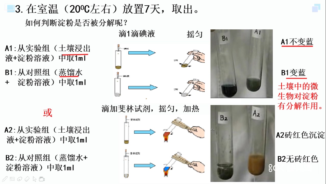 2.22生物 生态系统的物质循环+土壤中微生物的分解作用、信息传递哔哩哔哩bilibili