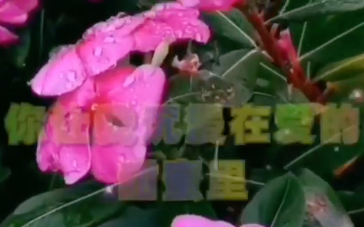 [图]一首好听的女生版歌曲（天涯海角陪着你）