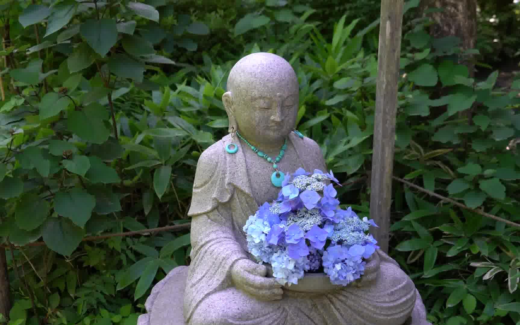 [图]4K 紫阳花 镰仓明月院 Hydrangea At Meigetsu-in Temple In Kamakura