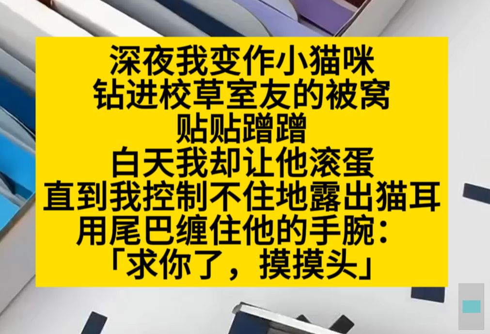 【原耽推文】深夜我边做小猫咪钻进校草的被窝:求你了,摸摸头!哔哩哔哩bilibili