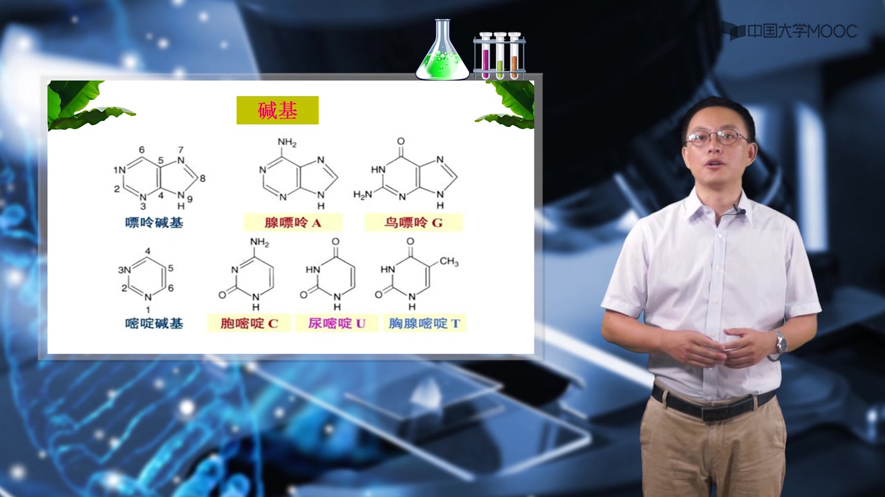 河南农业大学 基础生物化学(王镜岩版) 石永春61课时哔哩哔哩bilibili