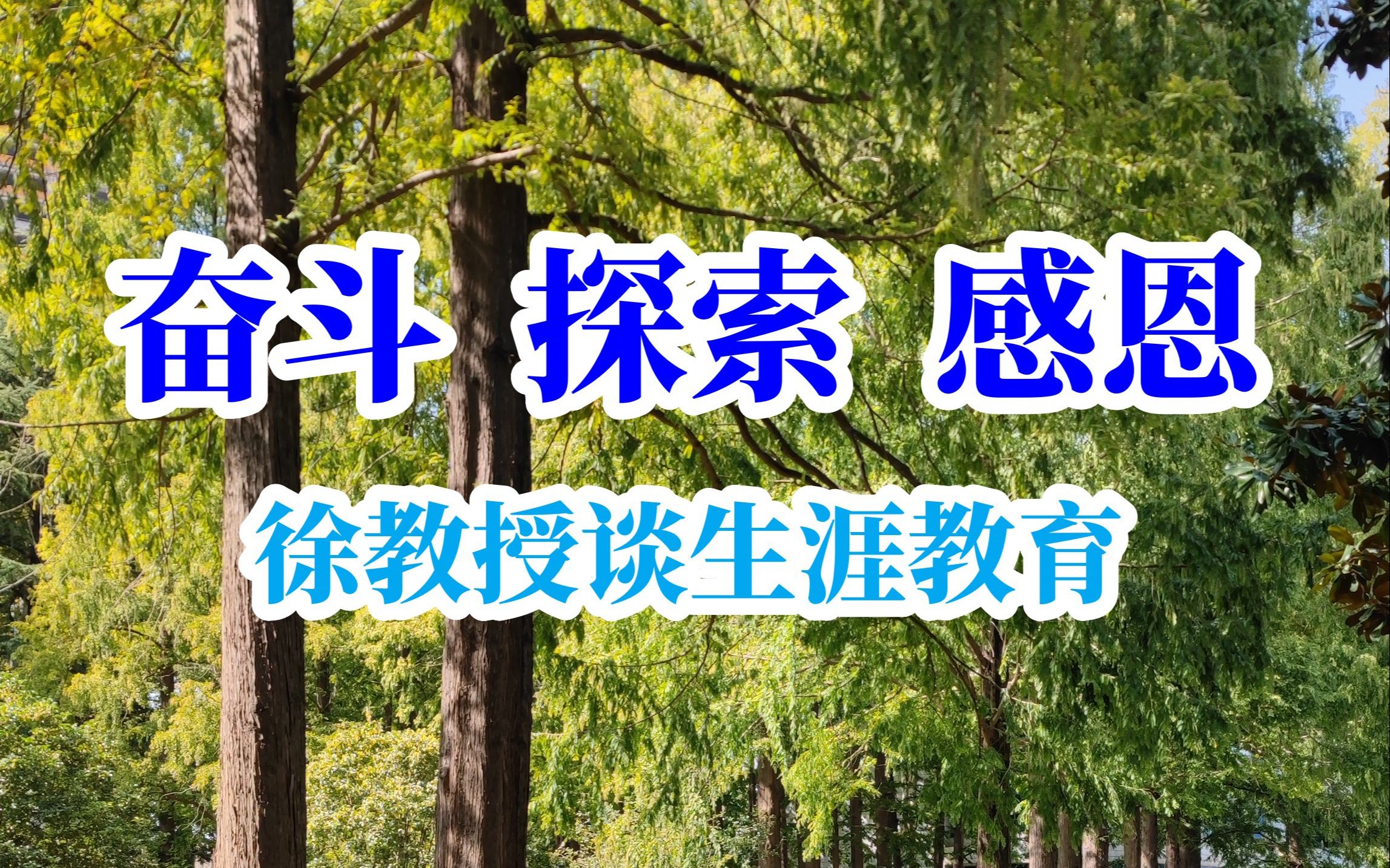 [图]徐教授谈生涯规划：奋斗 探索 感恩，我们的生命之道 #生涯规划 #生涯教育 #好奇