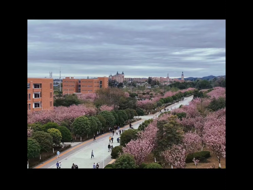 西南交通大学希望学院