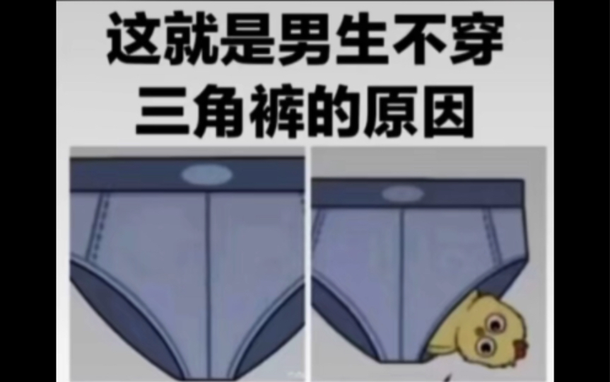 沙雕梗图|男生不穿三角内裤的原因哔哩哔哩bilibili