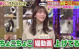 あすかちゃん猫なしでは生きられない 猫溺愛美女の生態を徹底解明sp 哔哩哔哩 つロ干杯 Bilibili