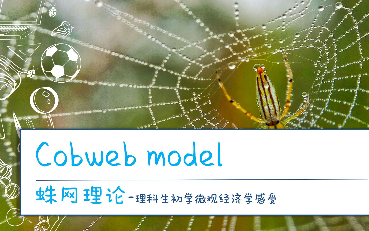 蛛网理论(Cobweb Model) | 理科生初学微观经济学哔哩哔哩bilibili