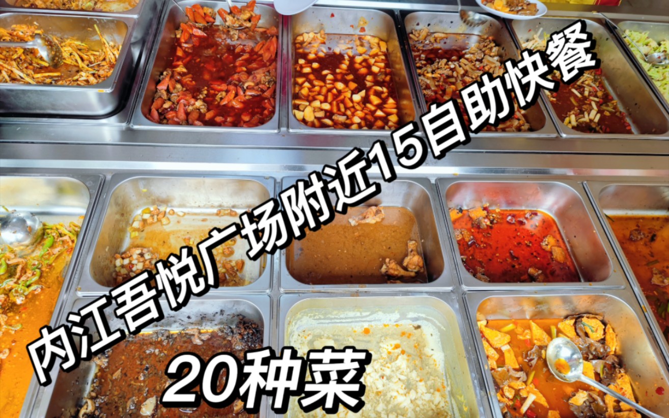 四川内江市吾悦广场附近20多种菜自助快餐,只要???哔哩哔哩bilibili