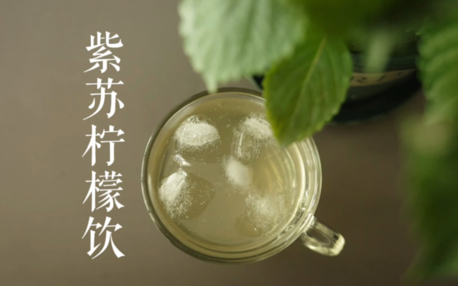 蝉鸣盛夏 做个简单的紫苏柠檬饮解解暑