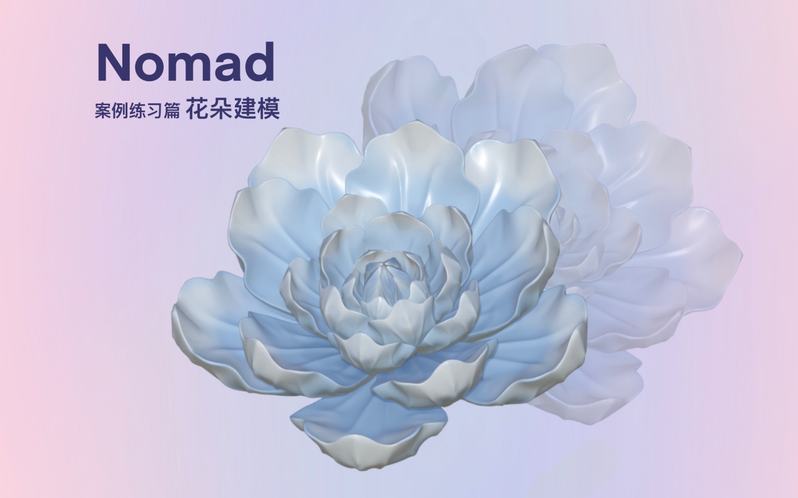 [图]NOMAD｜花朵建模案例