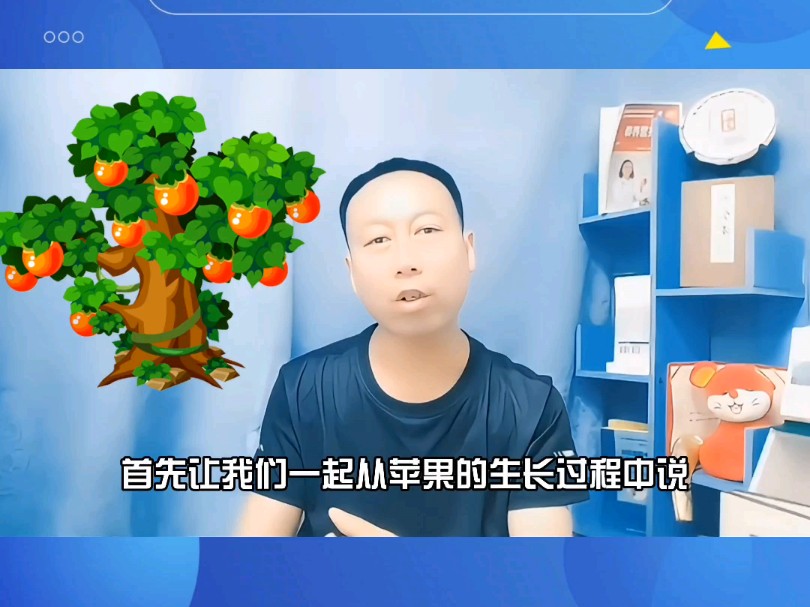 苹果糖分分布均匀吗?