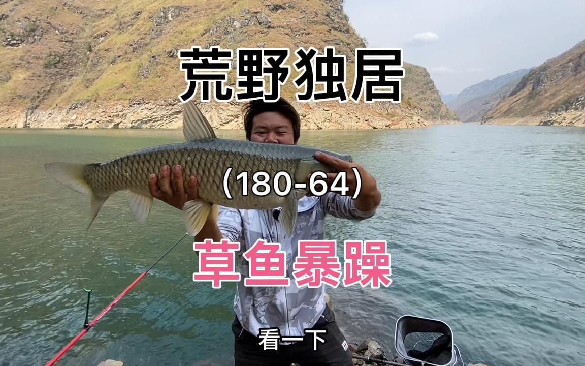 荒野独居180天,第64天,草鱼口依旧暴躁,白天钓鱼,晚上烤鱼-林波来野钓-林波来野钓-哔哩哔哩视频