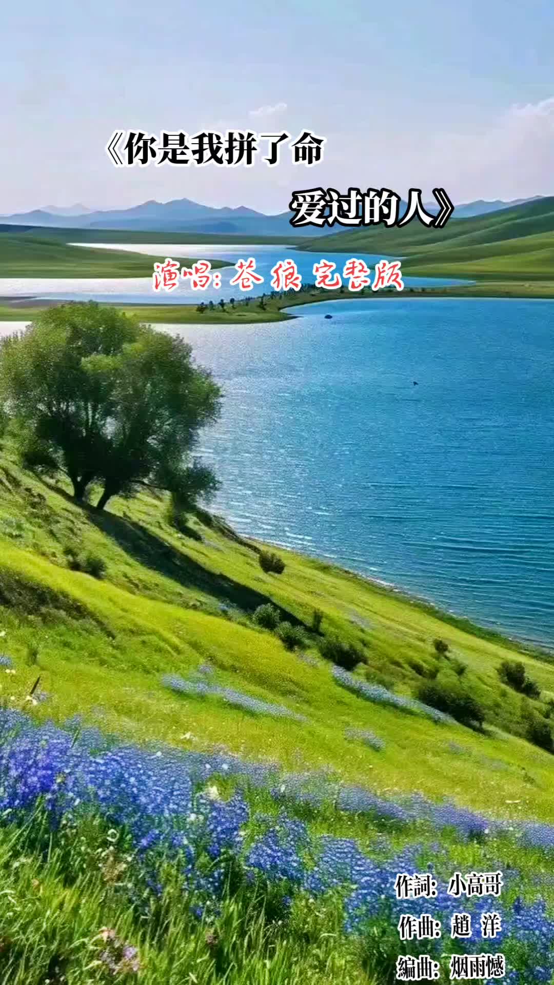 苍狼《你是我拼了命爱过的人》完整版~你可是我曾经拼了命爱过的人,如今却是我今生最该忘记的人.笑着对自己说没什么了不起,不就是这一辈子我忘不掉...