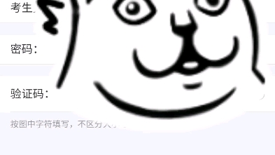 上海中考查分哔哩哔哩bilibili