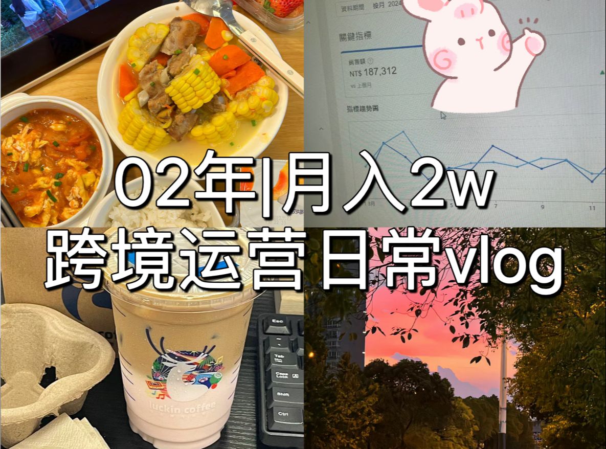 跨境电商运营|02年月入2w一天是怎么过的?哔哩哔哩bilibili