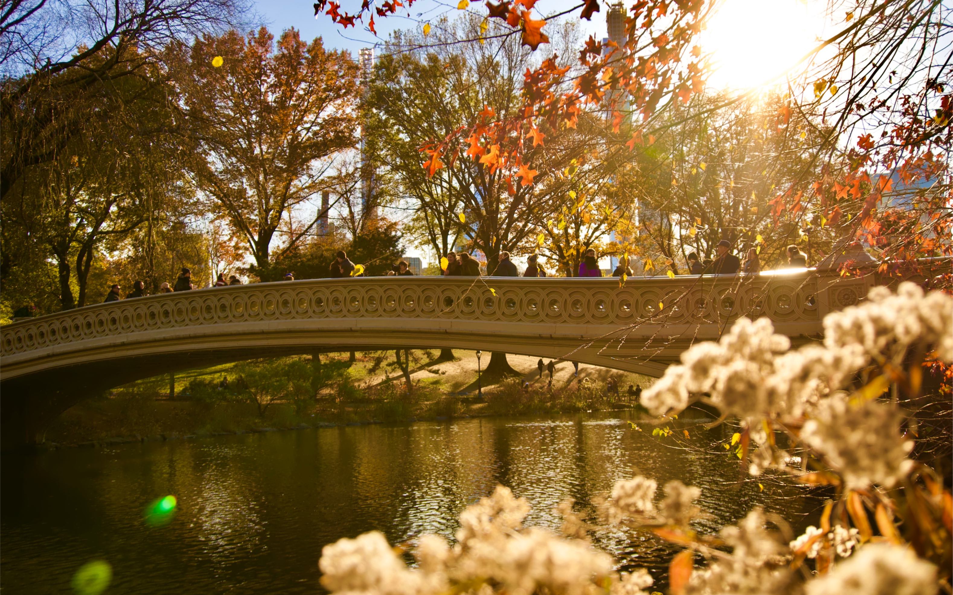 [图]【 纽约中央公园 】美国纽约旅游 Central Park in NewYork City 感谢让我在你最美的季节遇见你 - 《 深秋的中央公园 》