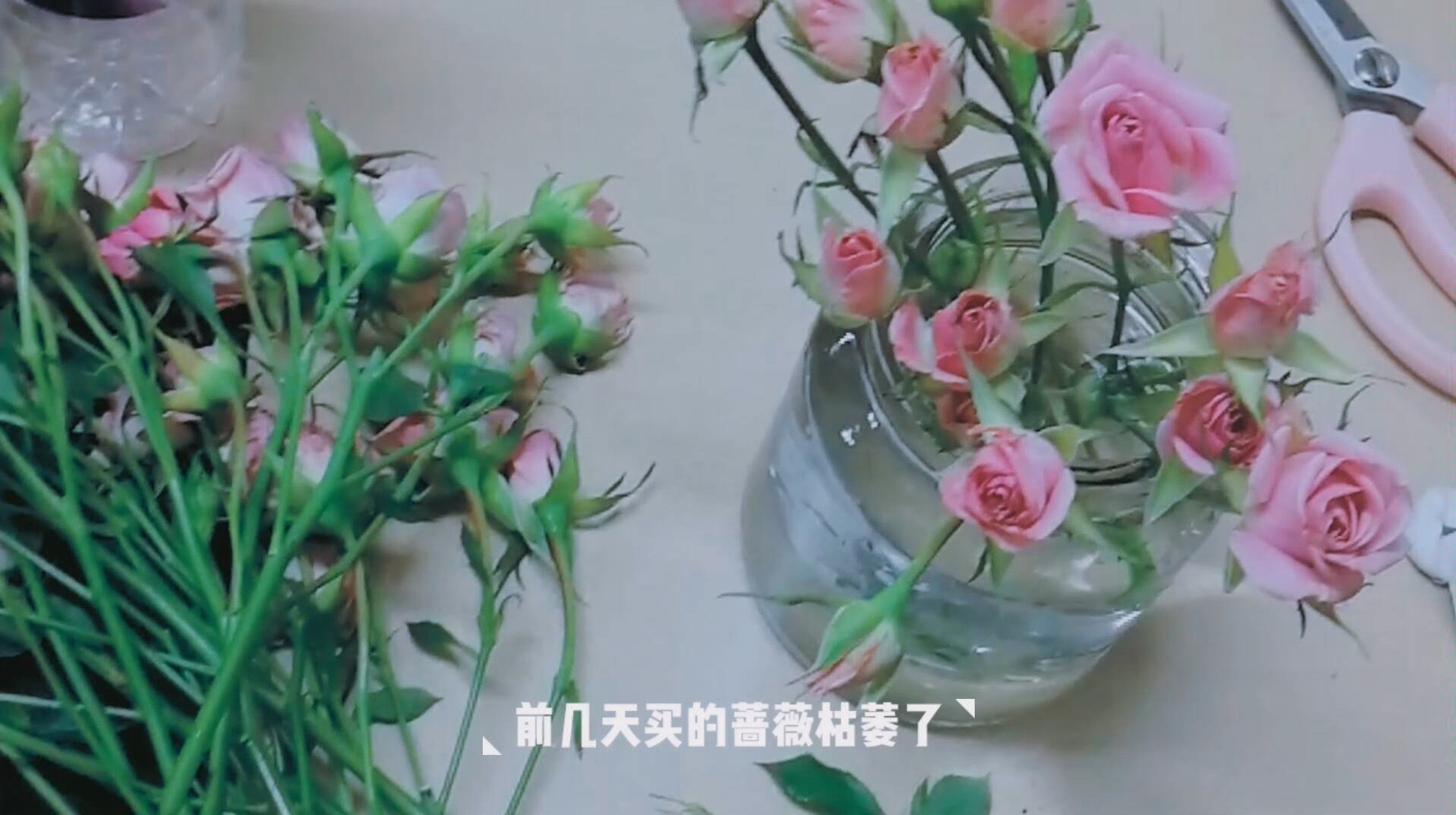 如何自己动手,diy制作干花?哔哩哔哩bilibili