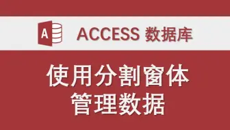 使用分割窗体管理数据 Access数据库系统功能模块讲解 VBA代码实例