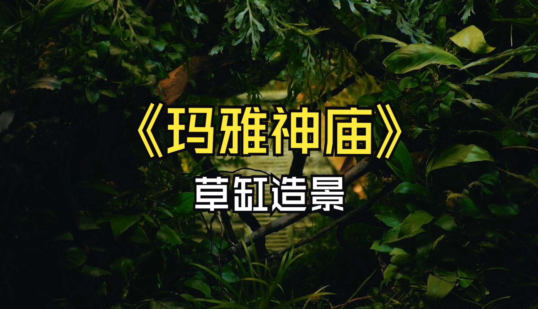 手工雕刻玛雅神庙【草缸造景】搬运哔哩哔哩bilibili