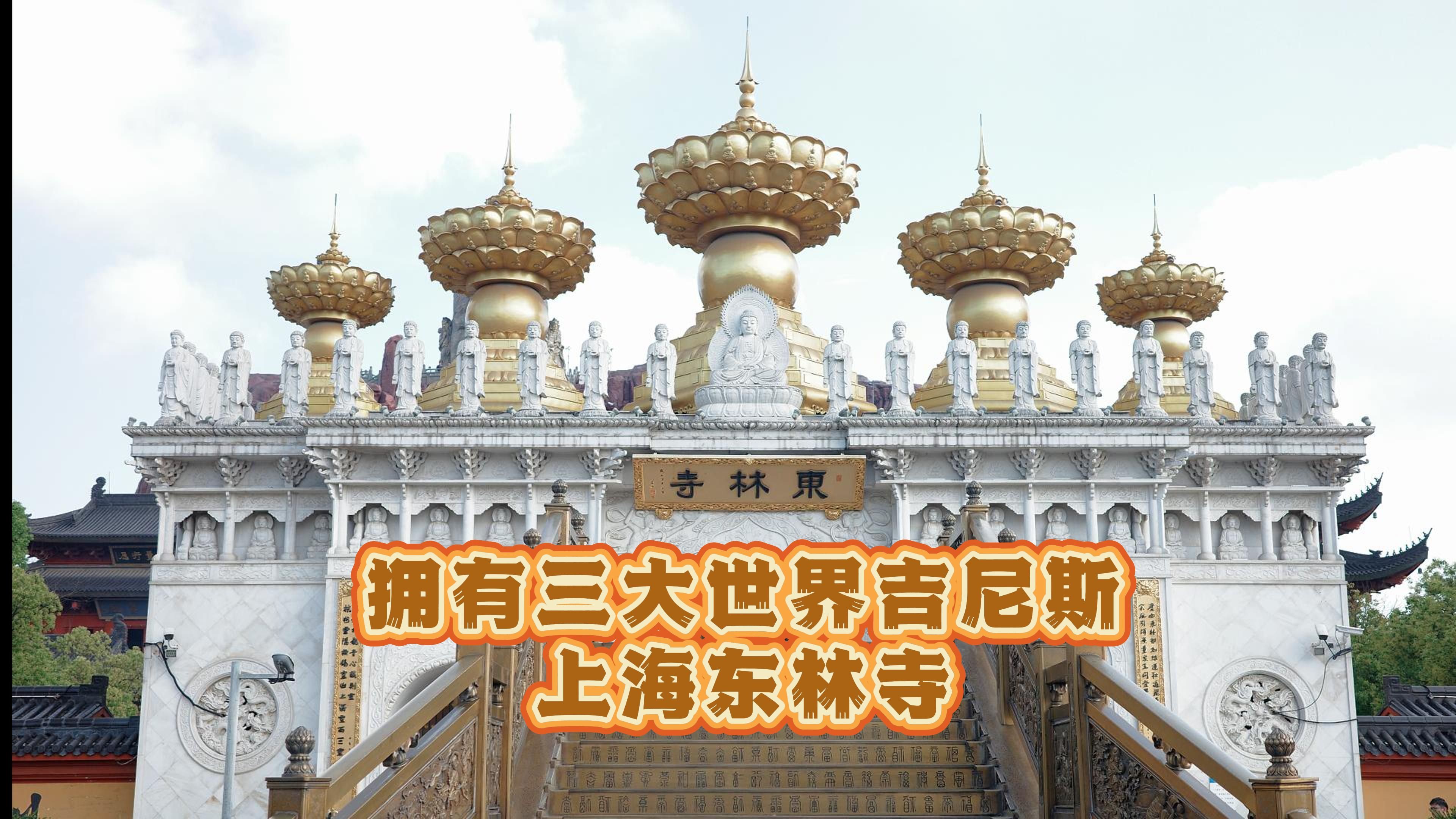 提问:你听说过上海的东林寺吗?它是有着三项世界吉尼斯记录的寺庙