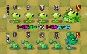 Video herunterladen: 1-5阶豌豆射手VS1-5阶卷心菜投手！都是5阶质变，谁会赢？