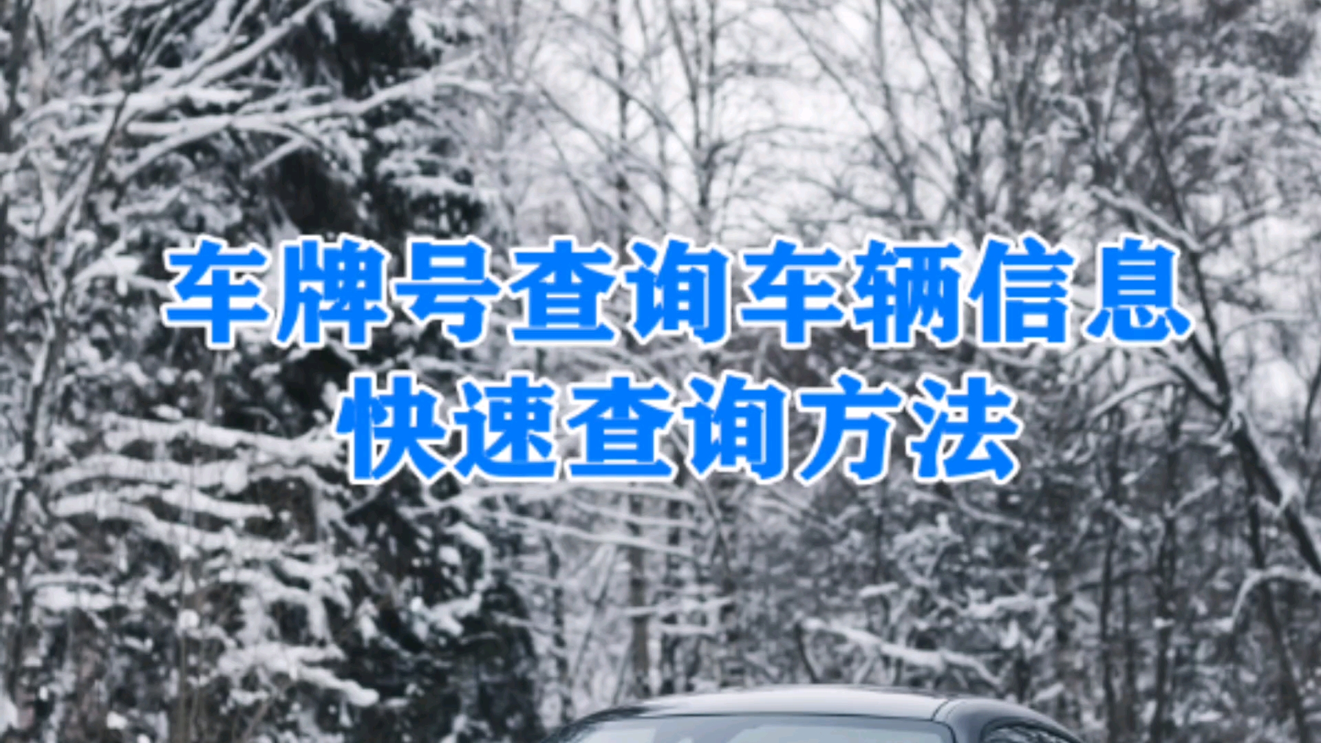 车牌号车辆信息查询方法,如何查询车牌号信息,汽车车牌号查询车辆信息在哪里查询 #车牌号查车辆信息 #汽车出险记录查询 #二手车维保理赔数据查询哔...