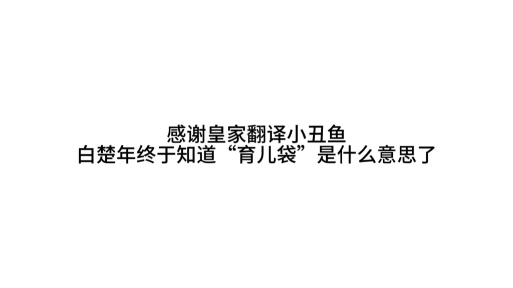 皇家翻译小丑鱼:这个家没我得散(兰波表示:赏,必须得赏)哔哩哔哩bilibili