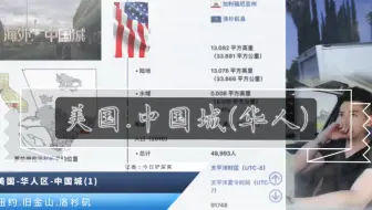 美国.中国城(华人区)