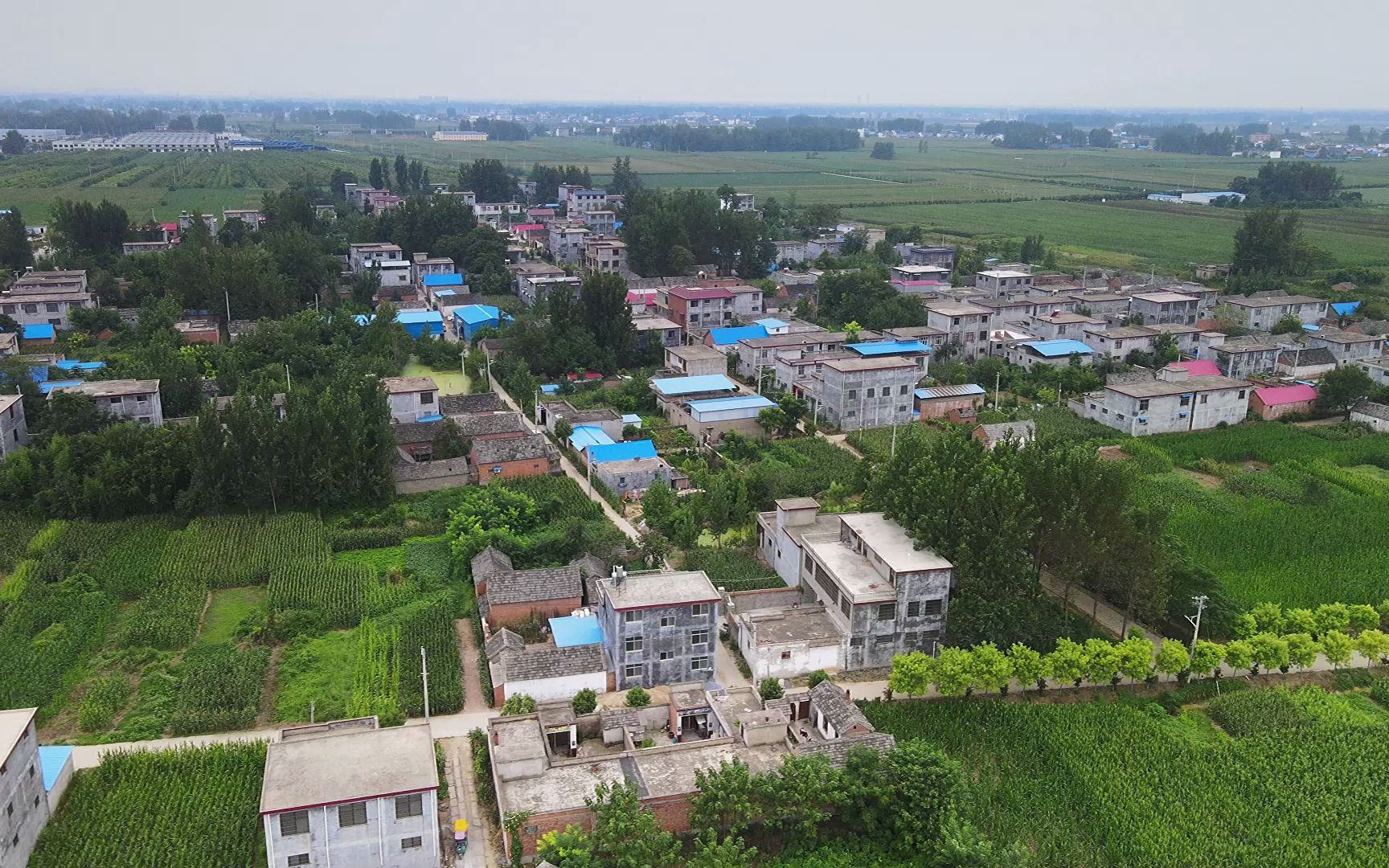 活动  刘寨村,安徽省阜阳市界首市光武镇西北部