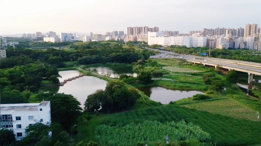 航拍:深圳坪山湿地公园