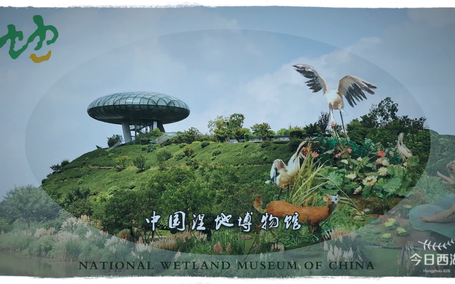 杭州中国湿地博物馆图片