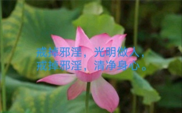 【持戒9】最新视频来袭,快来看看吧!