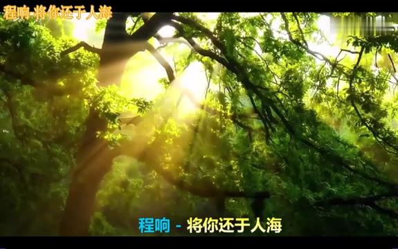 [图]程响最新歌曲《将你还于人海》，一起感受一下程式情歌韵味！