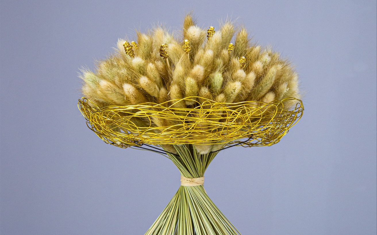 【花艺】一不小心给狗尾巴草做了个造型_哔哩哔哩 (゜-゜)つロ 干杯