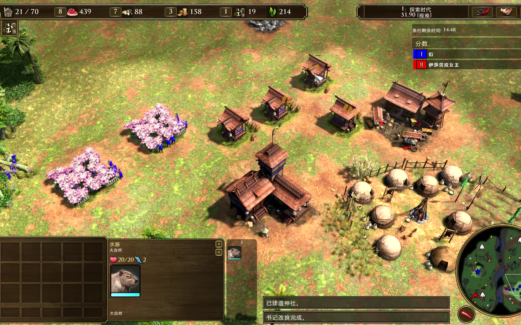 [图]Age of Empires III_ Definitive Edition 条约20分钟发育