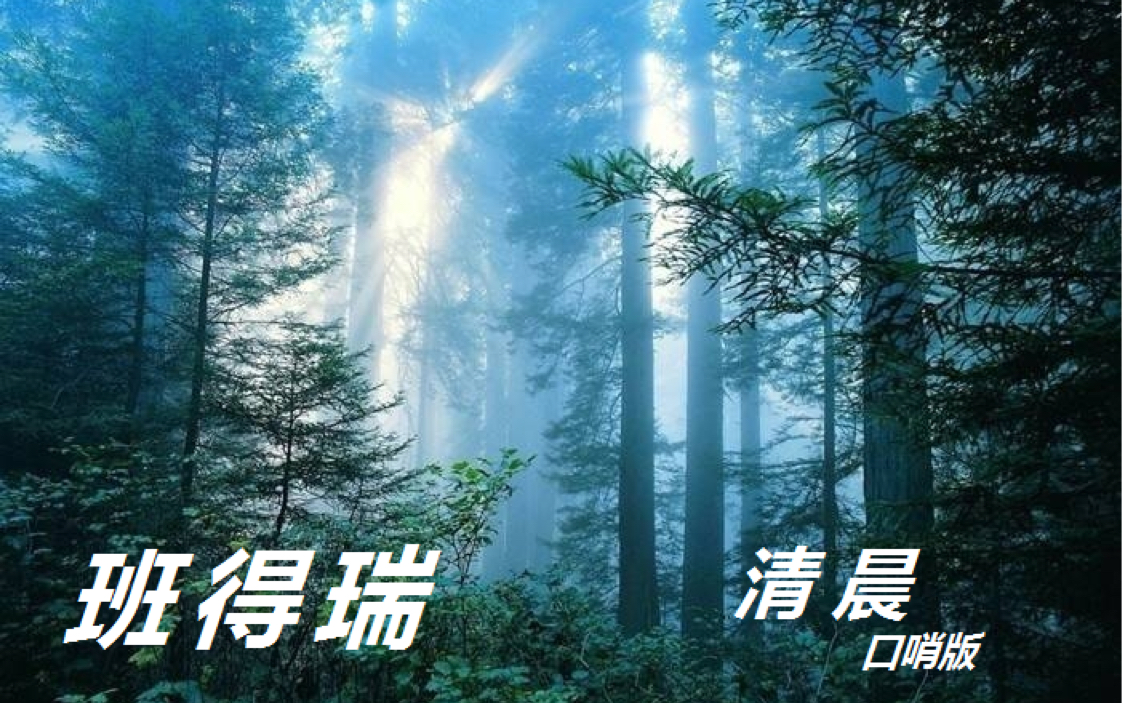 班得瑞《清晨》口哨全曲哔哩哔哩bilibili