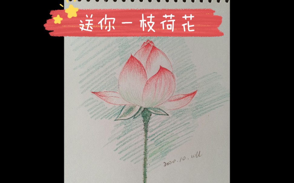 [彩铅教程]荷花画法,初学者零基础绘画哔哩哔哩bilibili