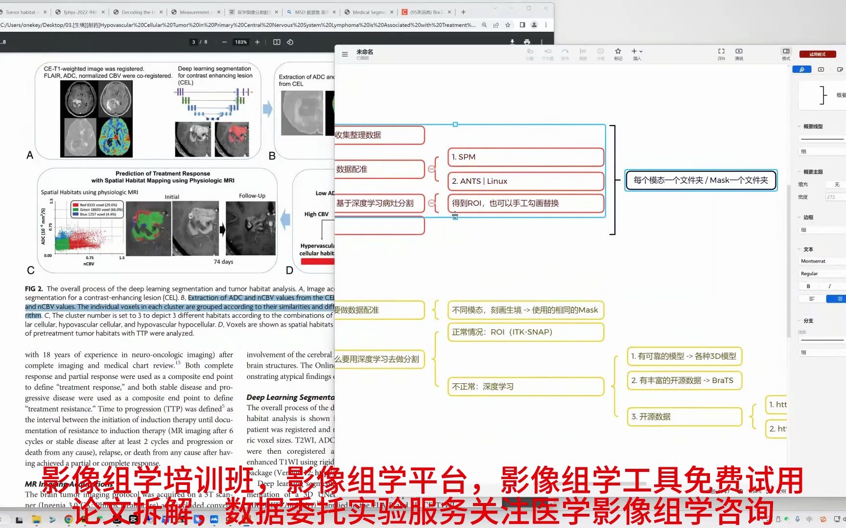 基于原发性中枢神经系统淋巴瘤中的低血管细胞肿瘤生理MRI的肿瘤生境分析深度学习病灶分割哔哩哔哩bilibili