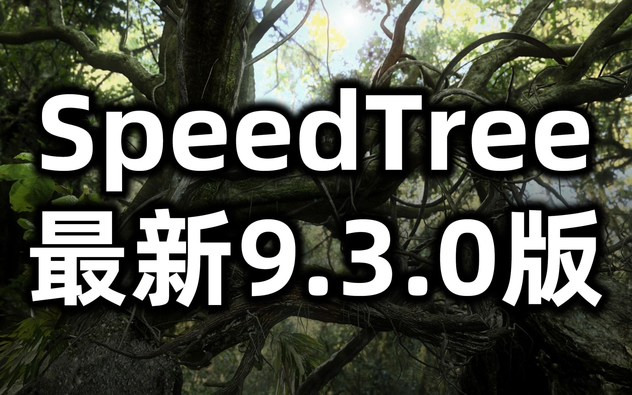 最新三维植物树木生长建模软件SpeedTree v9.3.0 Games安装教程哔哩哔哩bilibili