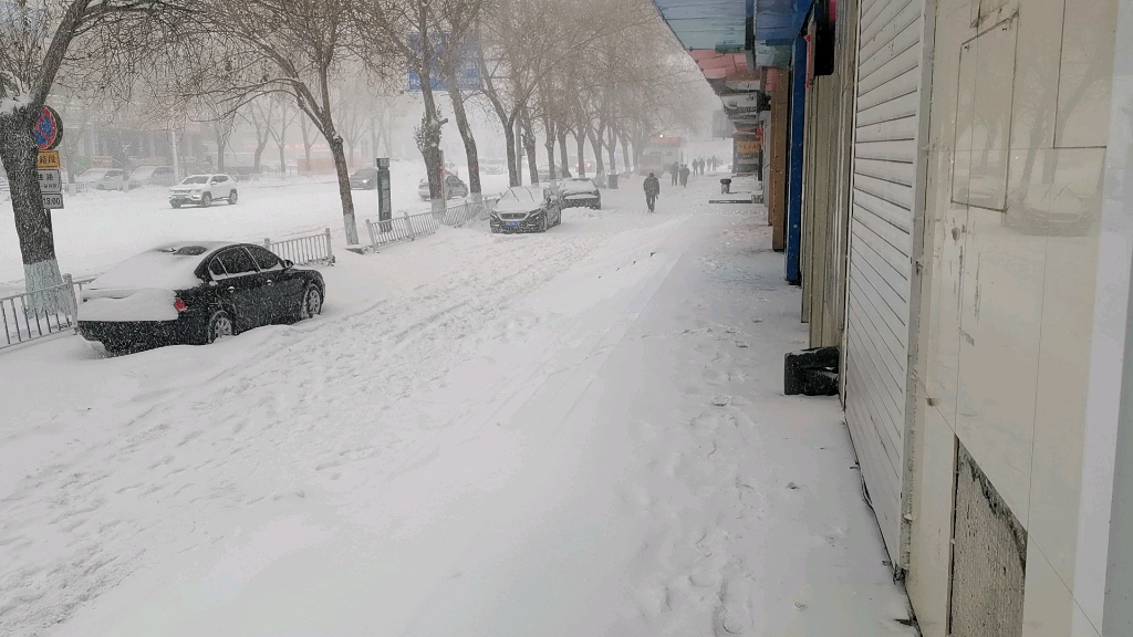 [图]东北大雪天，学校把周一课窜到周六了，早上三点一直下到现在，反正活着回来了