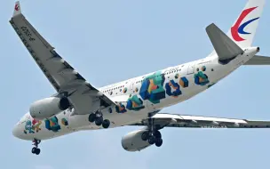 下载视频: 东航“技能梦想号”A330-200彩绘机飞抵深圳，机身上的两个牵手公仔是上海2022年第46届世界技能大赛吉祥物“能能”与“巧巧”。