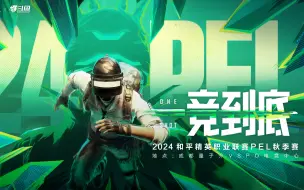 Download Video: 【2024PEL秋季赛】主视角 9月15日 常规赛第六周周决赛Day3