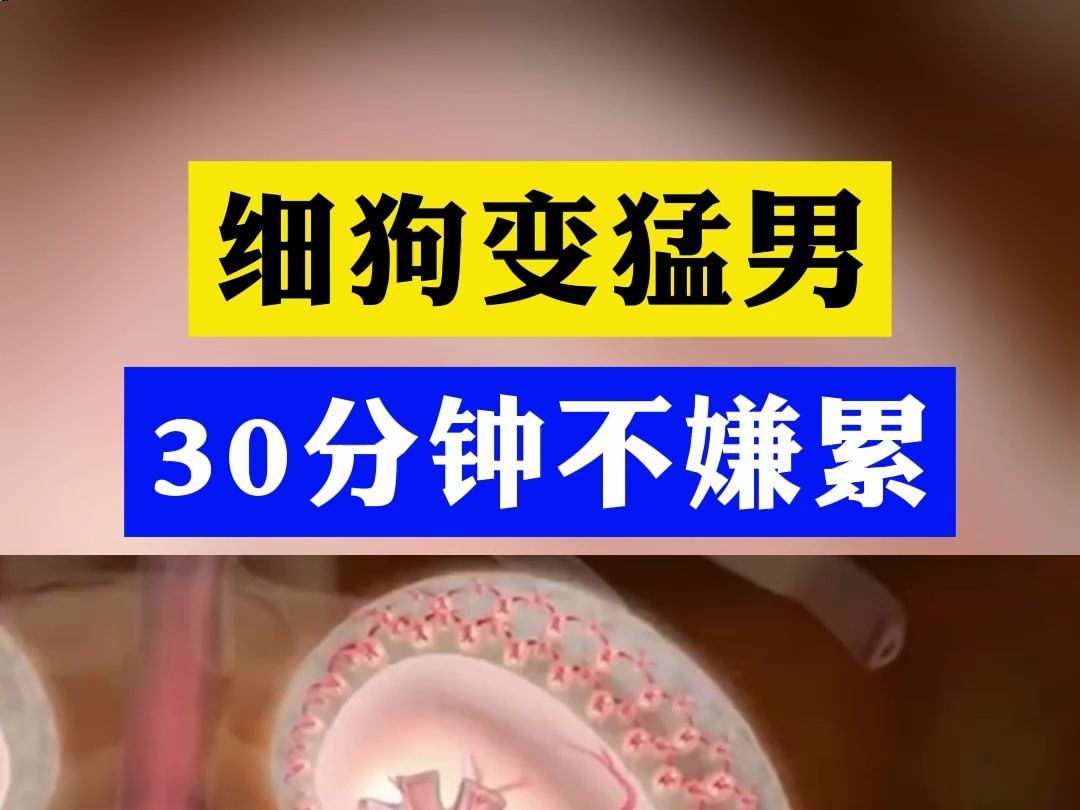 细狗变猛男 30分钟不嫌累 老婆夜夜爽翻天哔哩哔哩bilibili