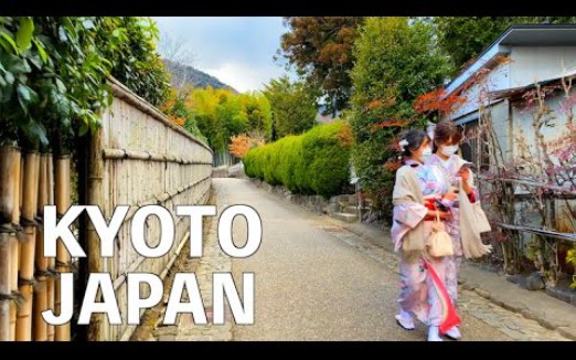 [图]【4K】京都，日本 2022 - 竹林，岚山公园，徒步旅行