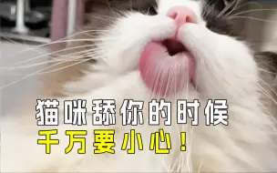 下载视频: 猫咪舌头的秘密：不只是舔舔那么简单👅