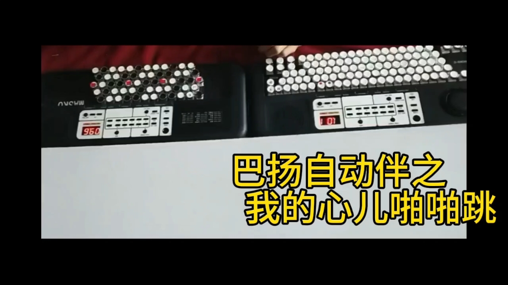 巴扬自动伴之我的心儿啪啪跳